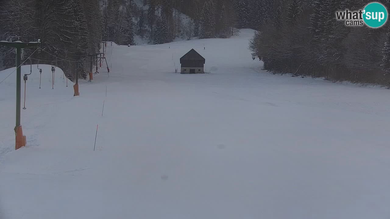 Kranjska Gora | Velika Dolina