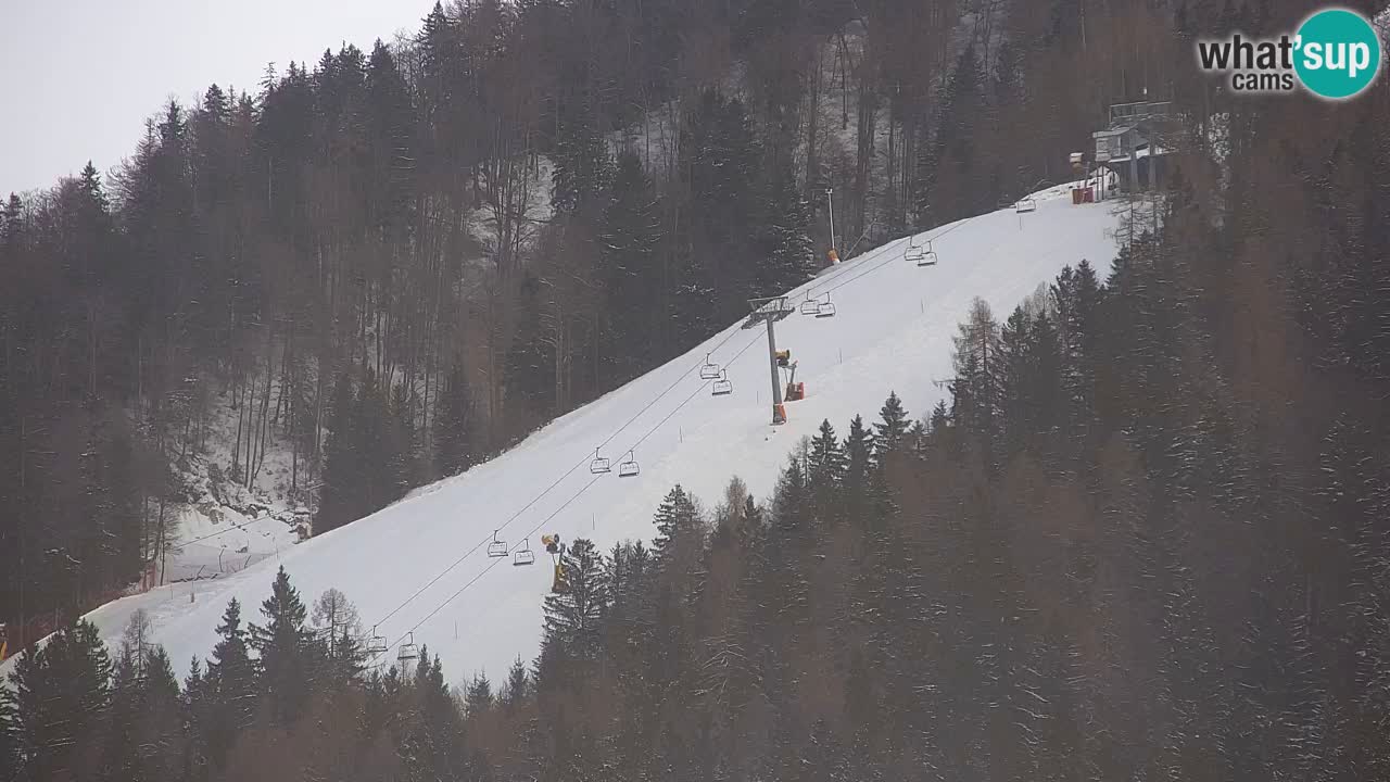 Kranjska Gora | Velika Dolina