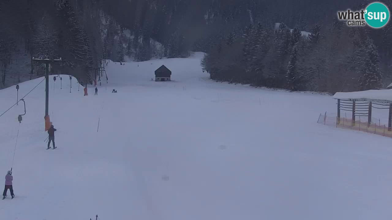 Skigebiet Kranjska Gora | Velika Dolina