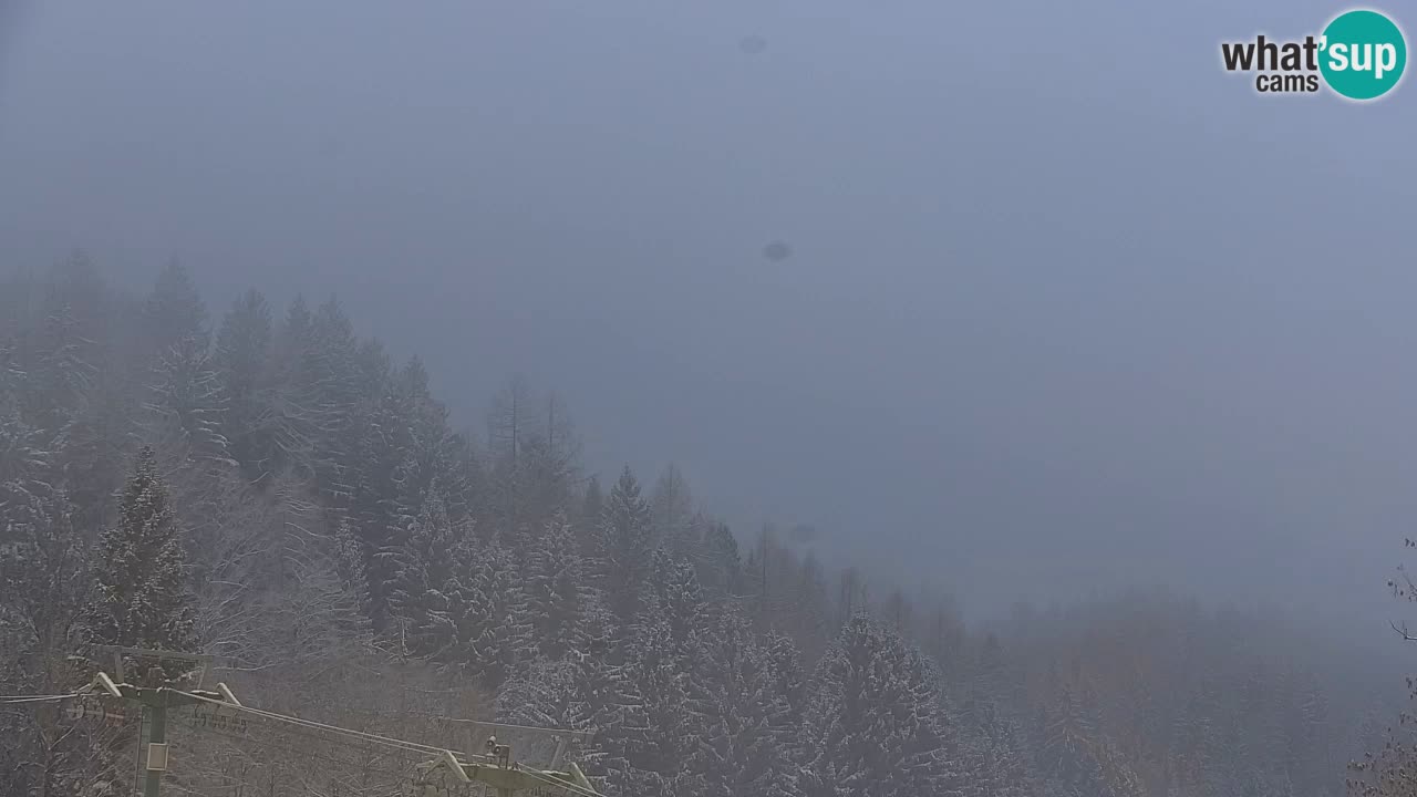 Skigebiet Kranjska Gora | Velika Dolina