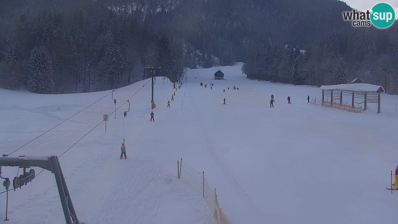 Estación de esquí Kranjska Gora | Velika Dolina