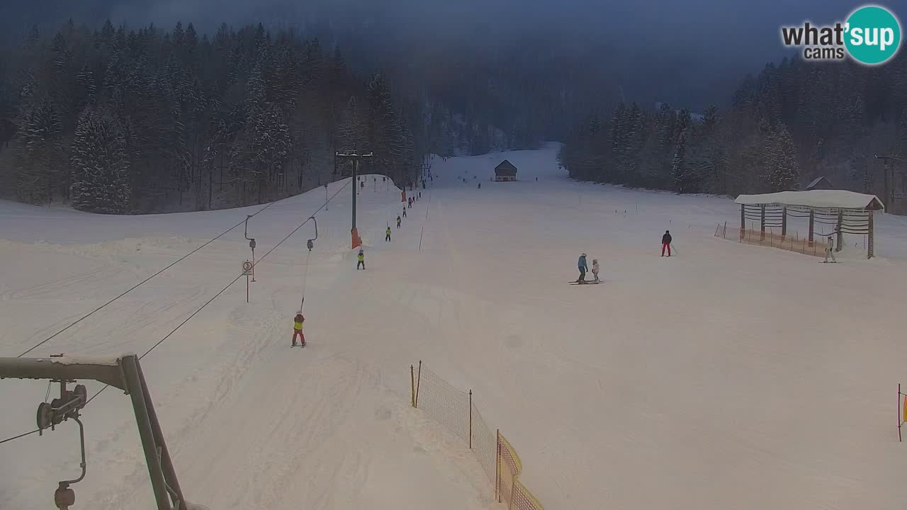 RTC Kranjska Gora | Velika Dolina