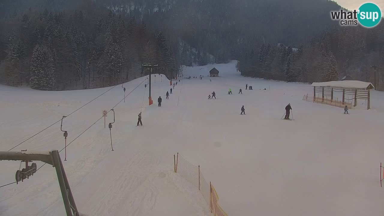 Station de ski Kranjska Gora | Velika Dolina