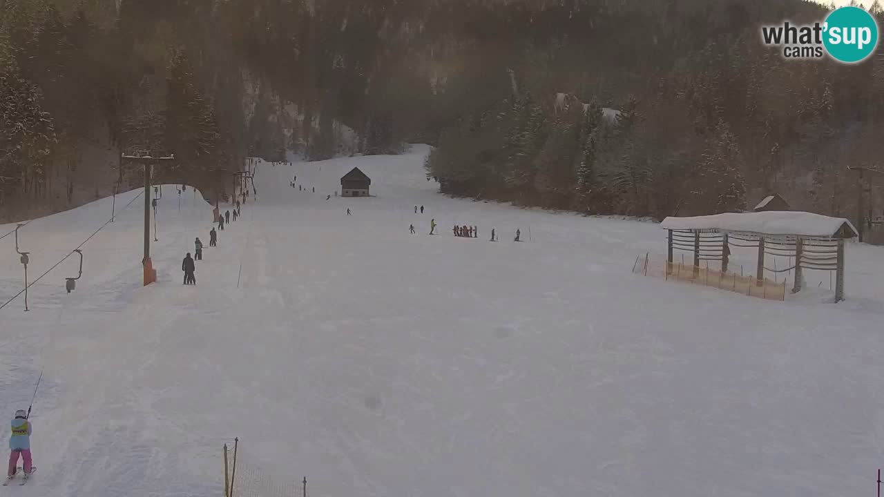 Ski Kranjska Gora | Velika Dolina