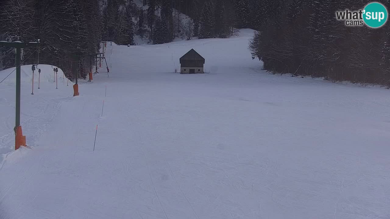 Kranjska Gora | Velika Dolina