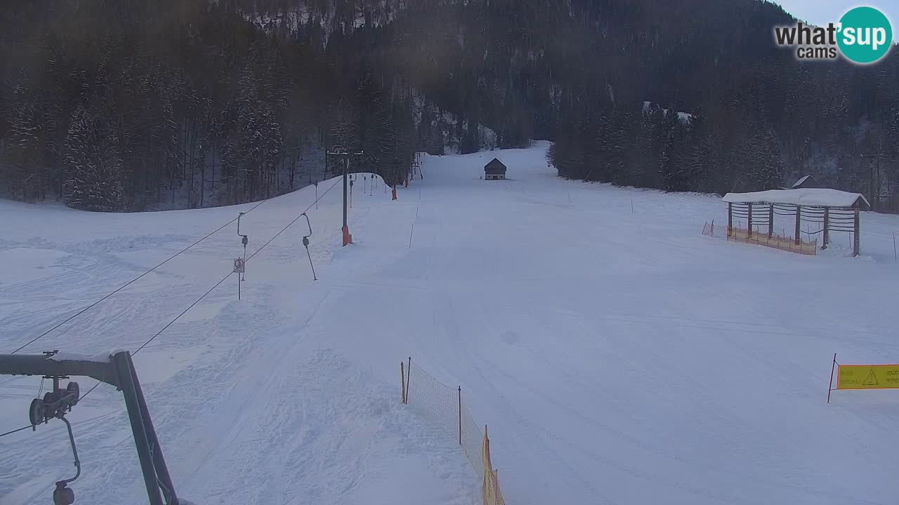 Ski Kranjska Gora | Velika Dolina