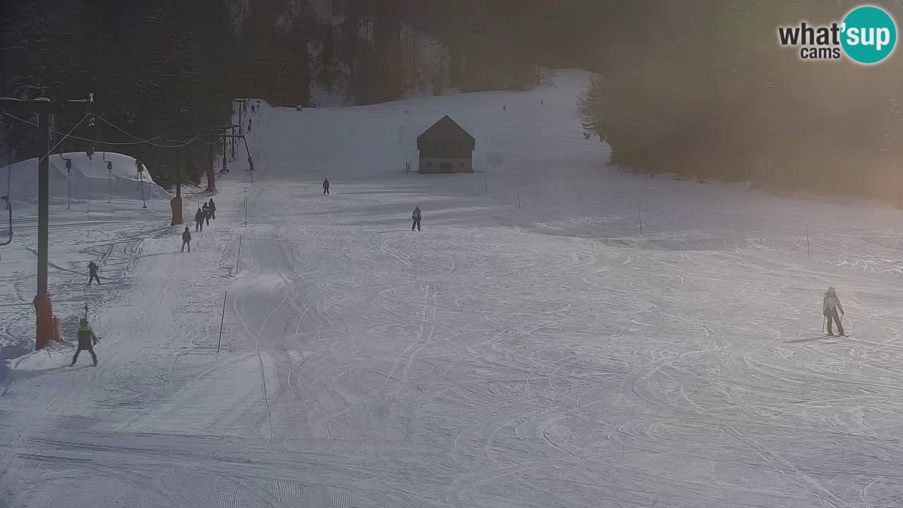 Ski Kranjska Gora | Velika Dolina