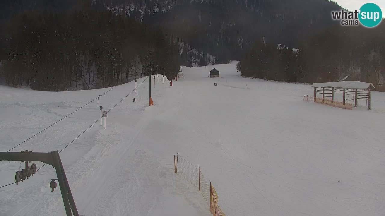 Estación de esquí Kranjska Gora | Velika Dolina