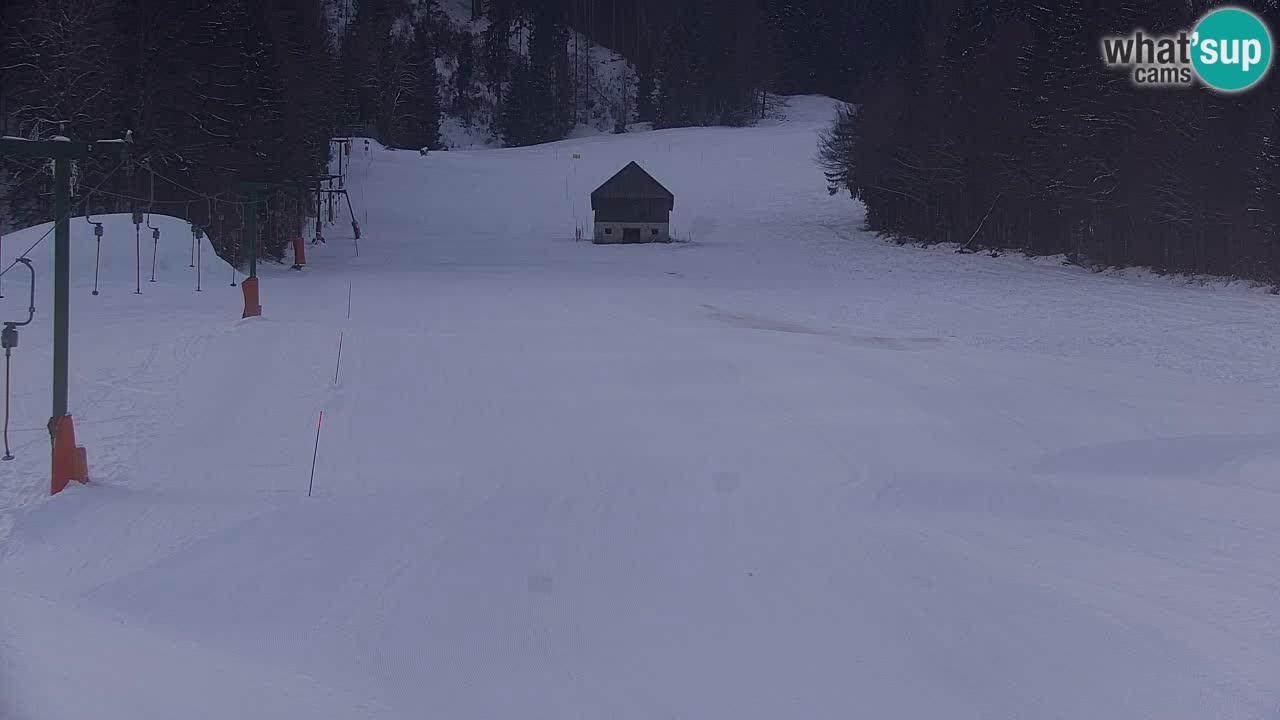 Skigebiet Kranjska Gora | Velika Dolina