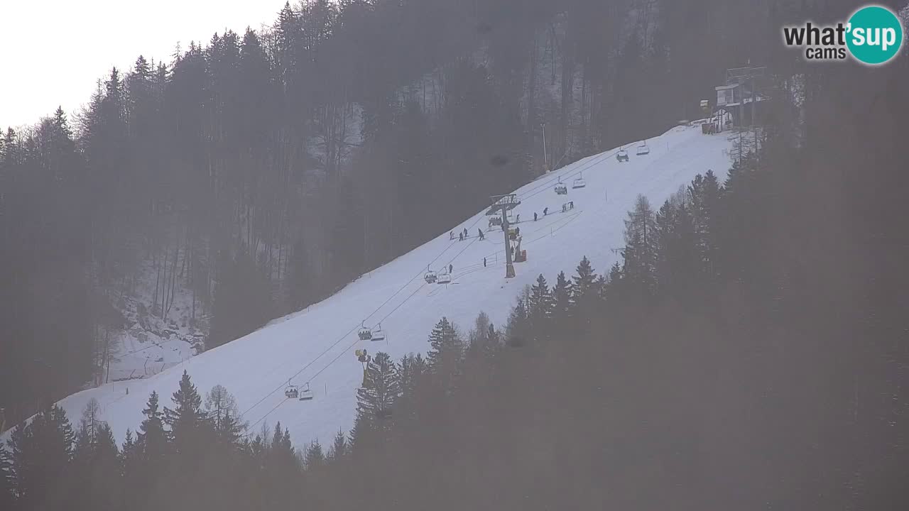 Estación de esquí Kranjska Gora | Velika Dolina