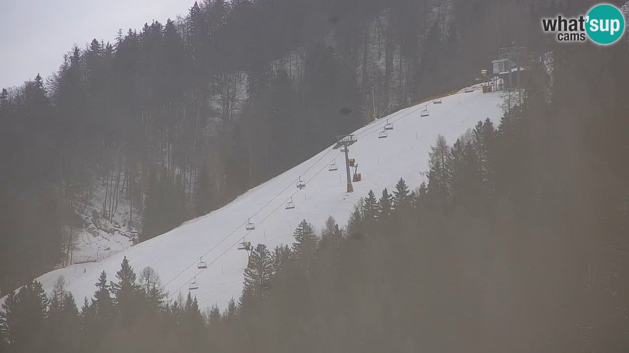 Skijanje Kranjska Gora | Velika Dolina