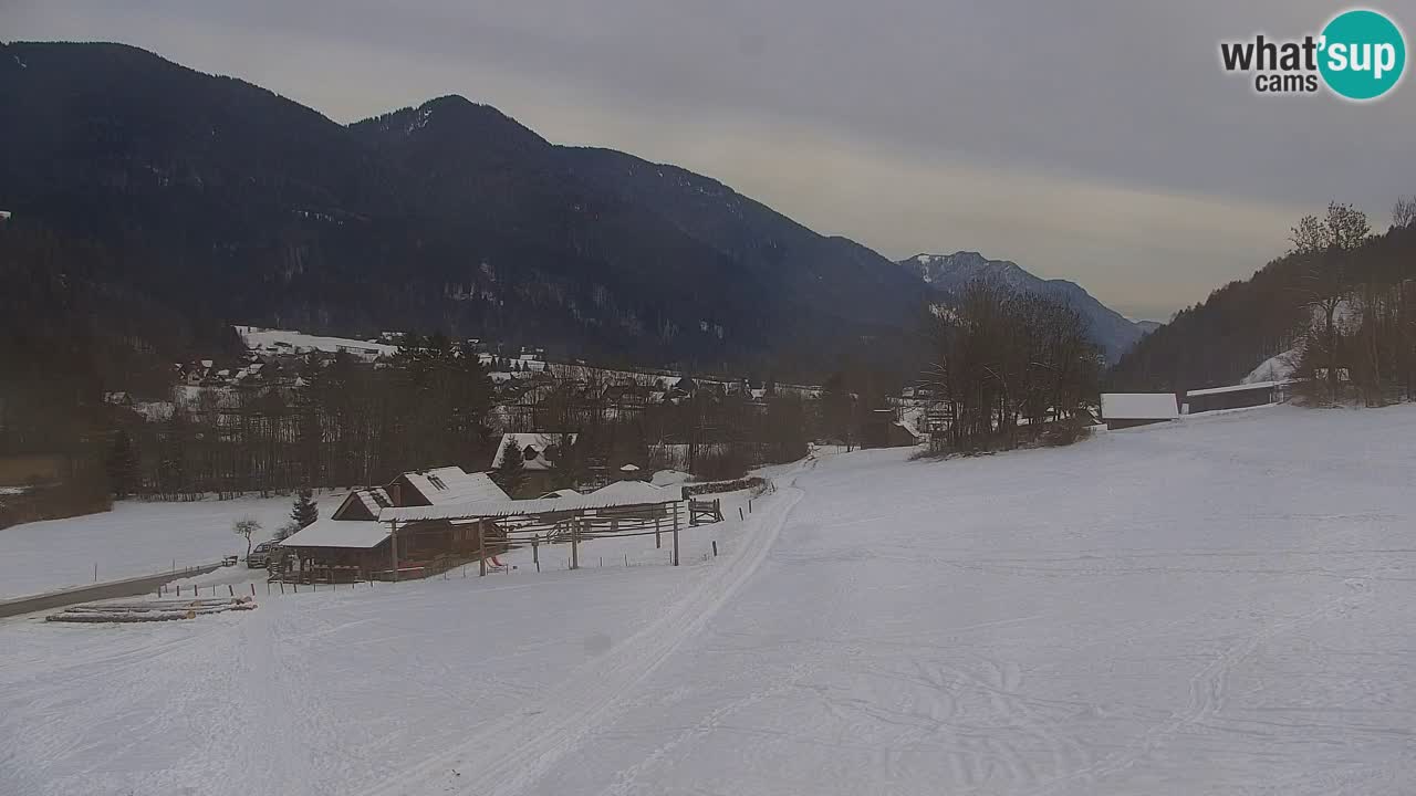 Skigebiet Kranjska Gora | Velika Dolina