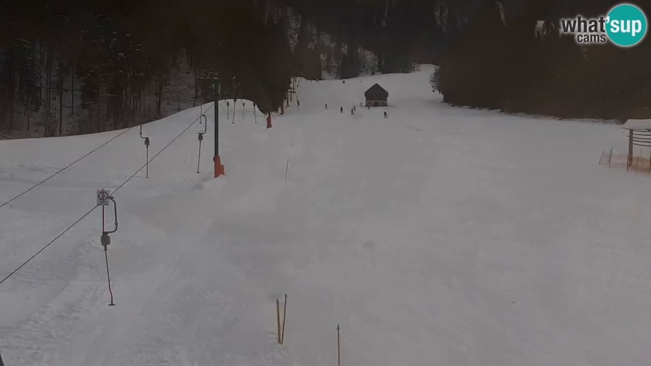 Skijanje Kranjska Gora | Velika Dolina