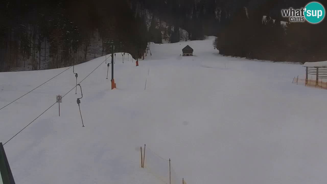 Ski Kranjska Gora | Velika Dolina