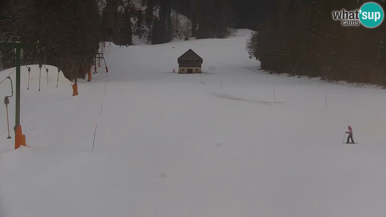 Station de ski Kranjska Gora | Velika Dolina