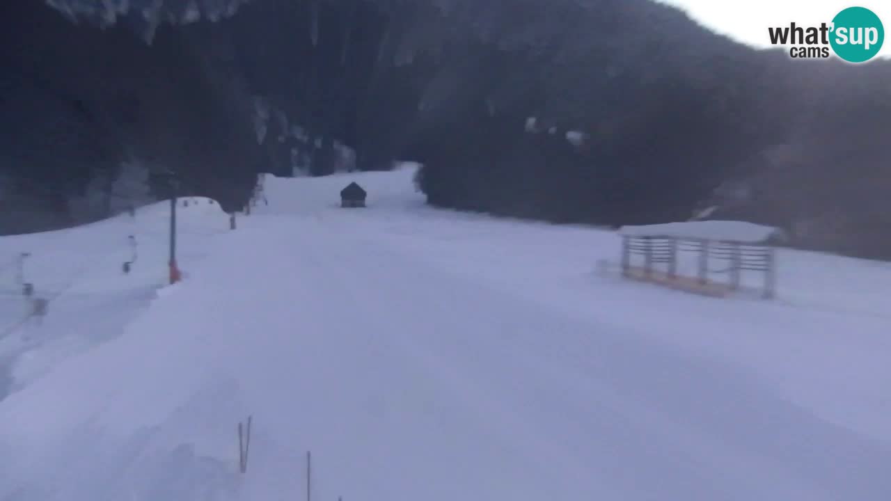 Ski Kranjska Gora | Velika Dolina