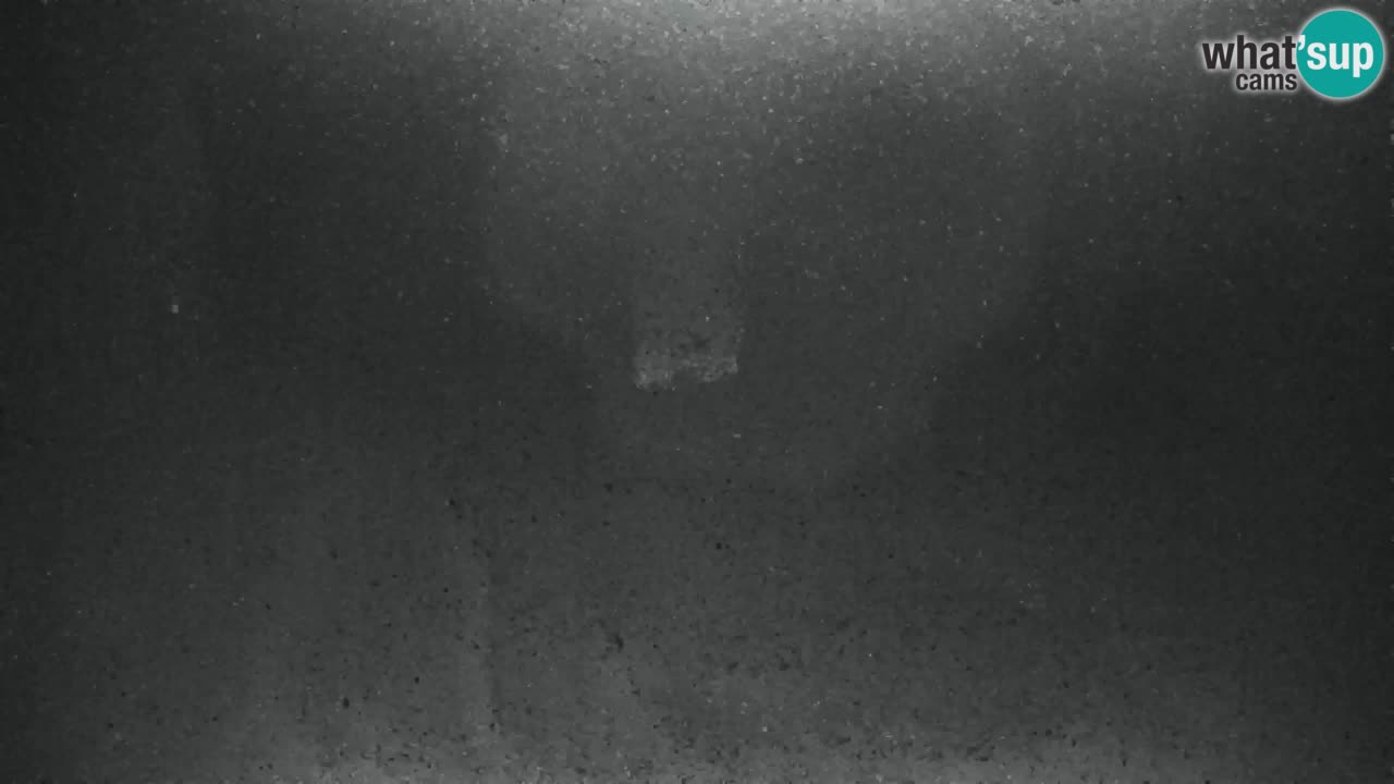 Ski Kranjska Gora | Velika Dolina