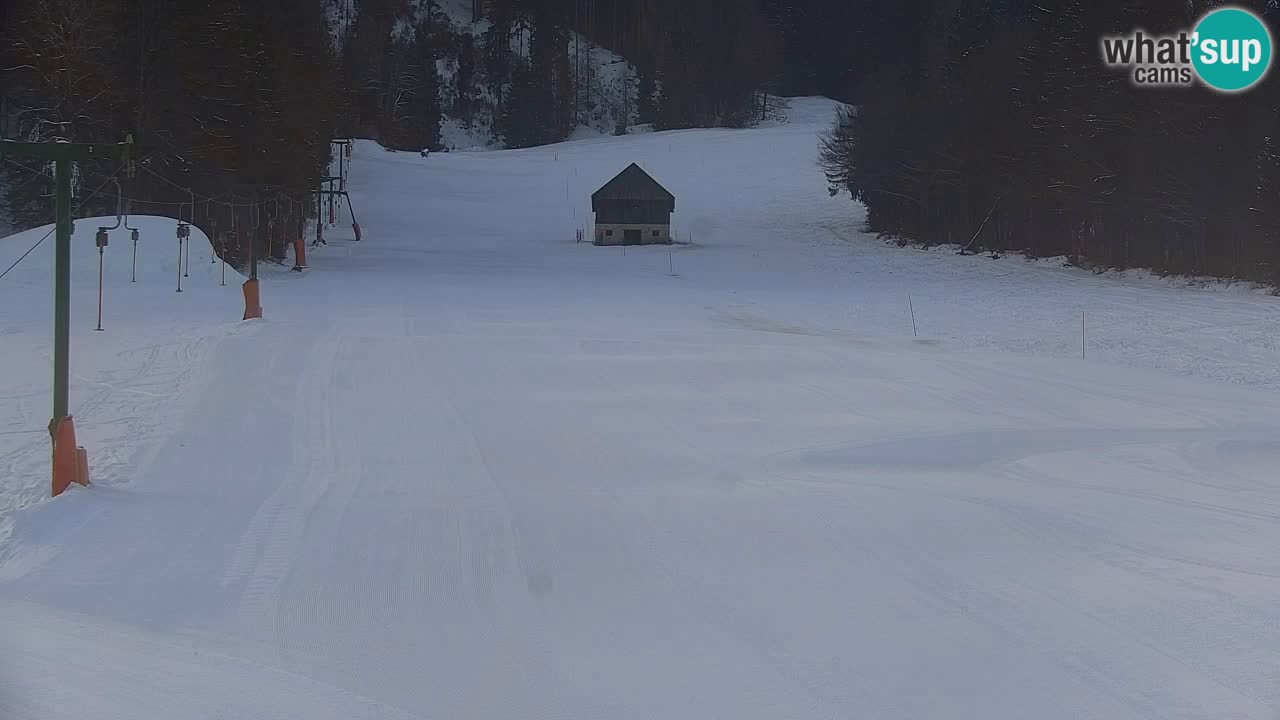 Estación de esquí Kranjska Gora | Velika Dolina