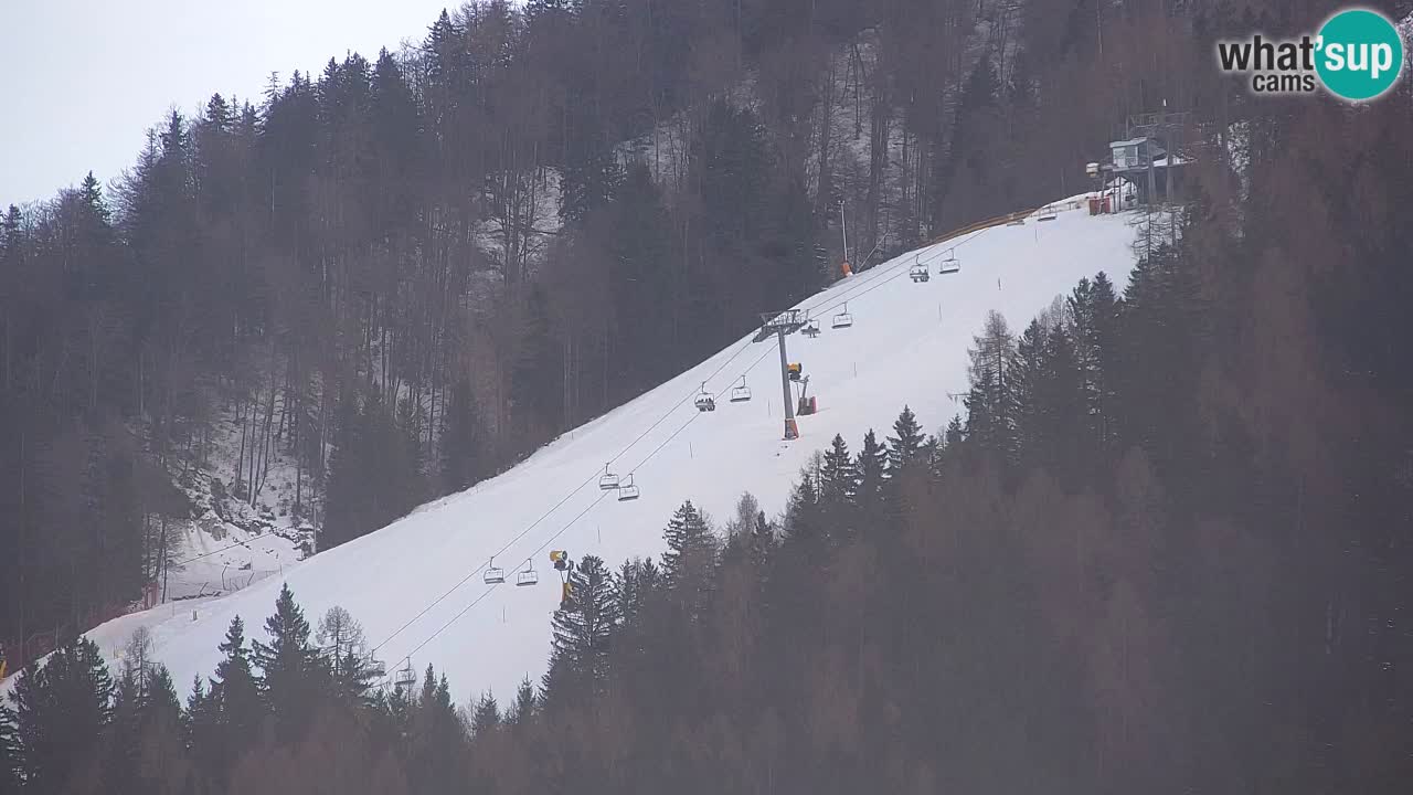 Ski Kranjska Gora | Velika Dolina