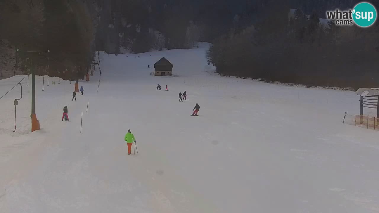 Ski Kranjska Gora | Velika Dolina