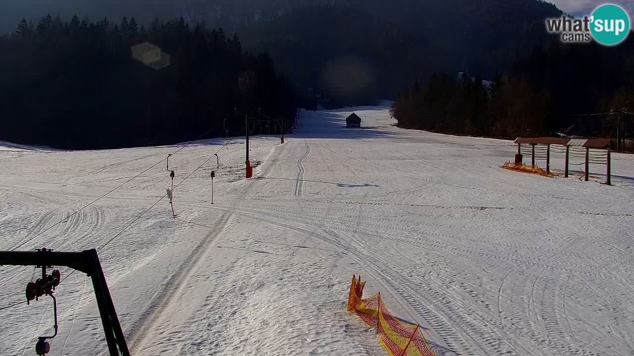 Ski Kranjska Gora | Velika Dolina