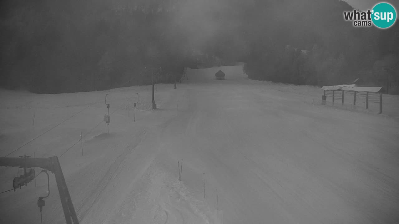 Ski Kranjska Gora | Velika Dolina