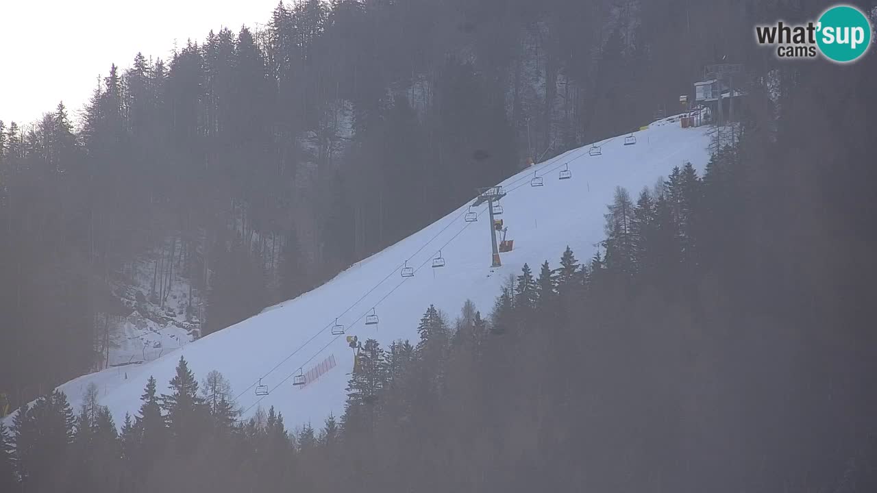 Skijanje Kranjska Gora | Velika Dolina