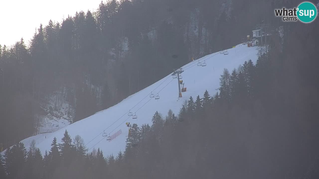 Estación de esquí Kranjska Gora | Velika Dolina