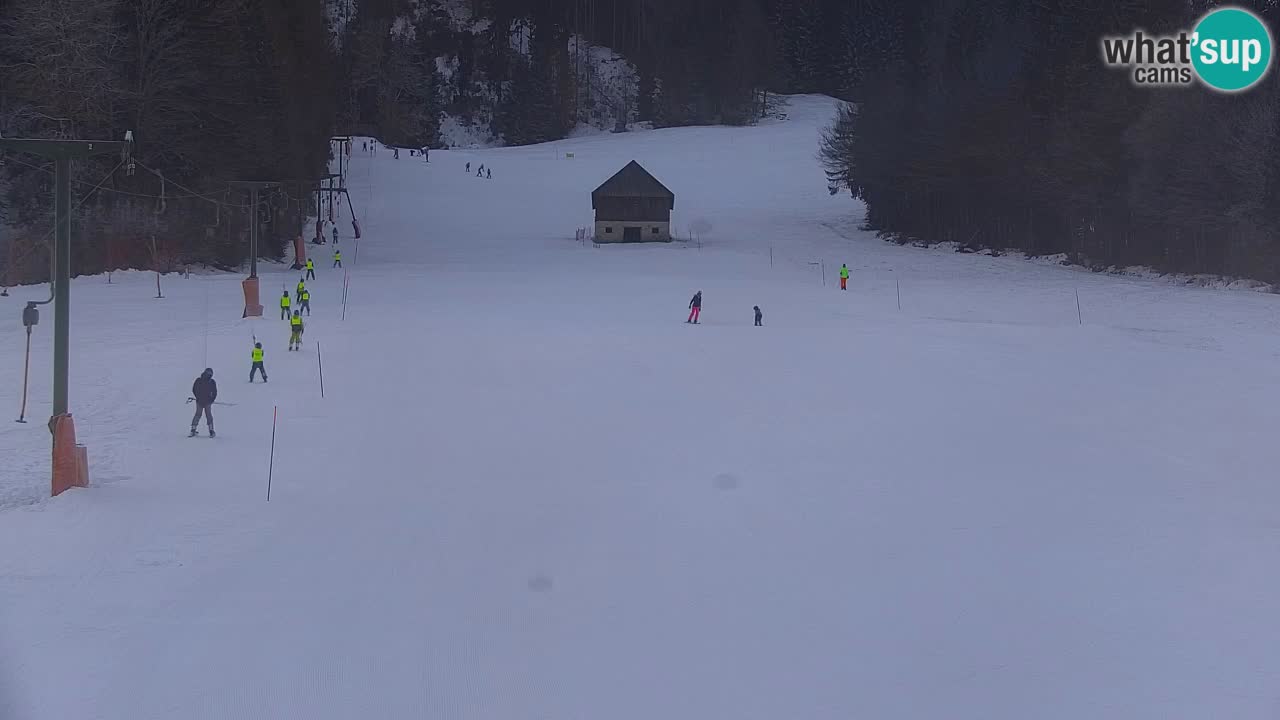 Skigebiet Kranjska Gora | Velika Dolina