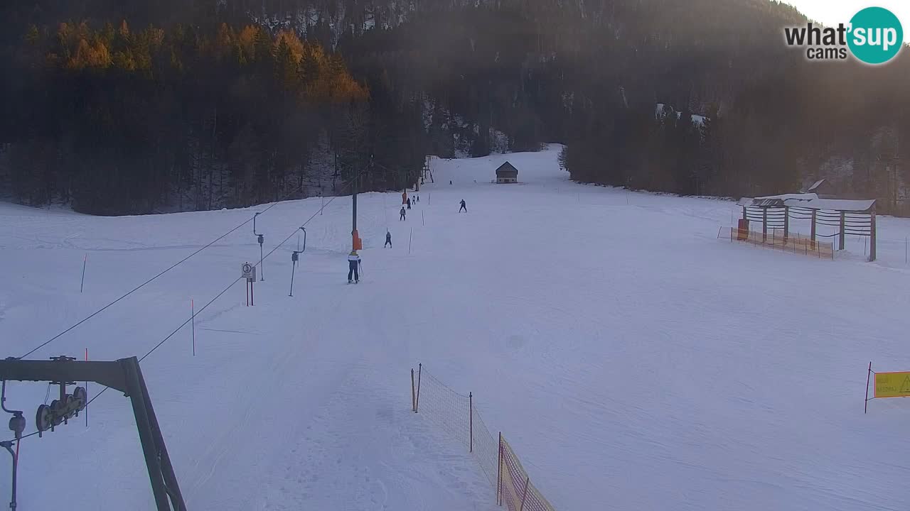 Ski Kranjska Gora | Velika Dolina
