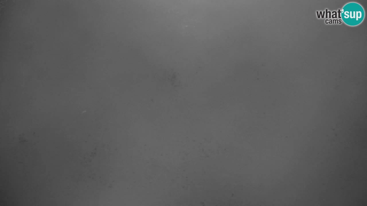 Ski Kranjska Gora | Velika Dolina