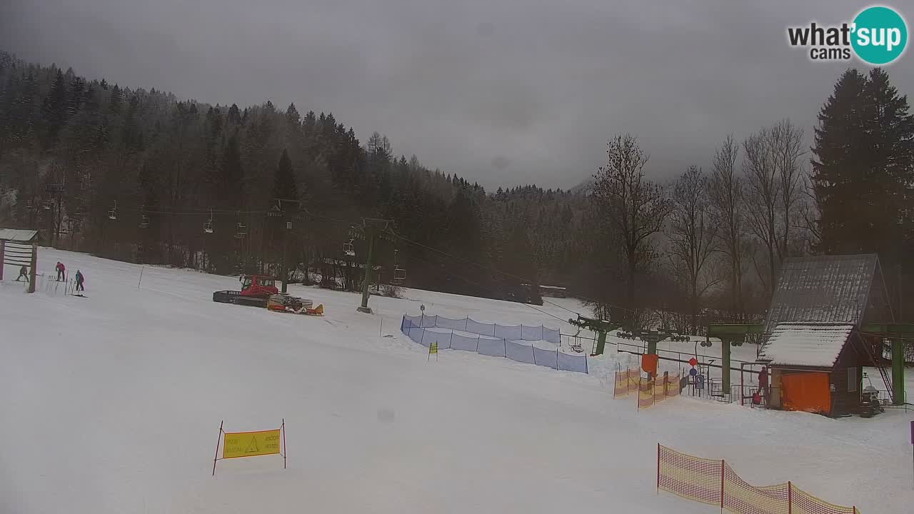 Estación de esquí Kranjska Gora | Velika Dolina