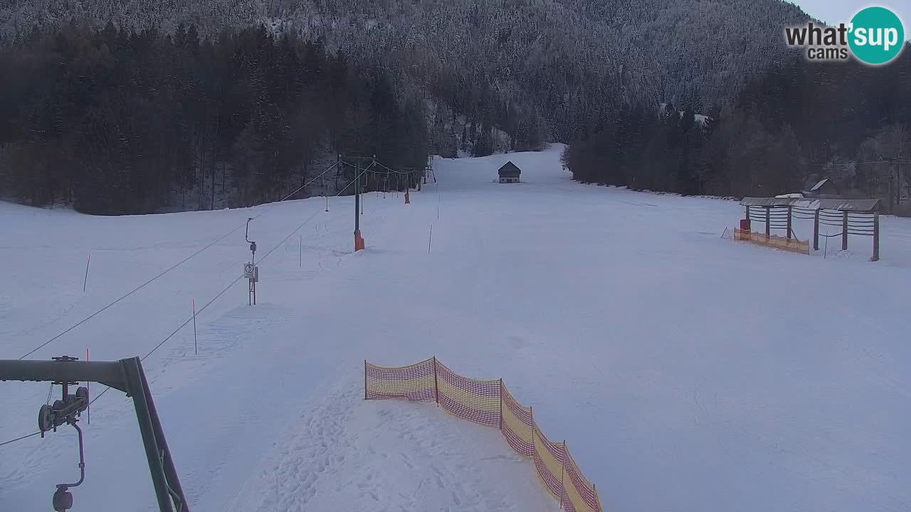 Ski Kranjska Gora | Velika Dolina