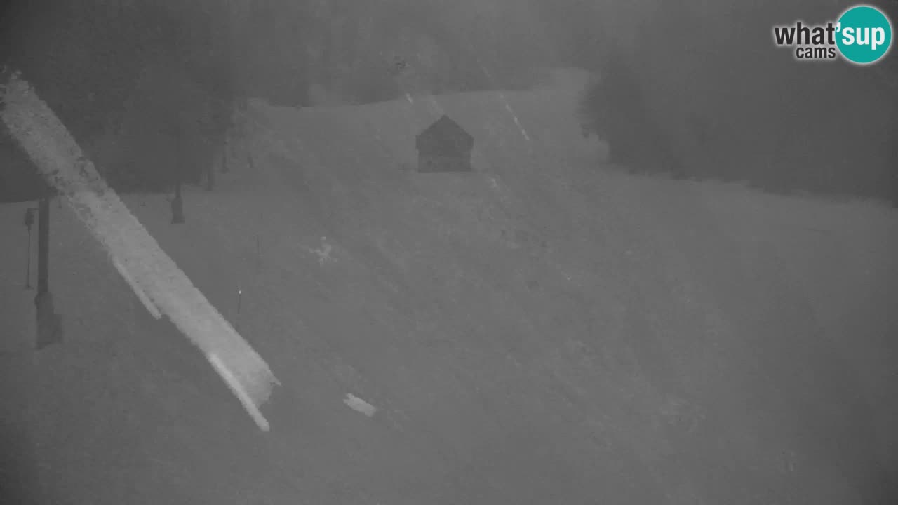 Ski Kranjska Gora | Velika Dolina