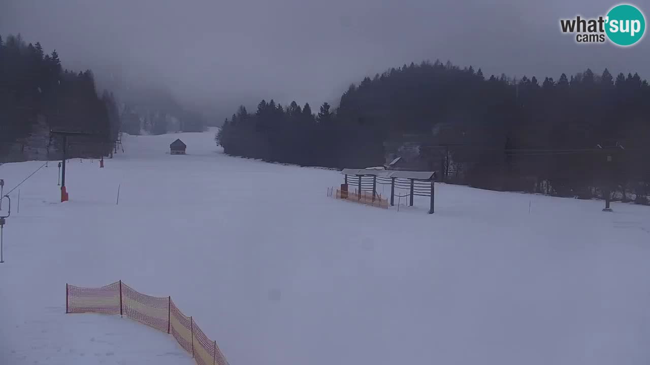 Ski Kranjska Gora | Velika Dolina