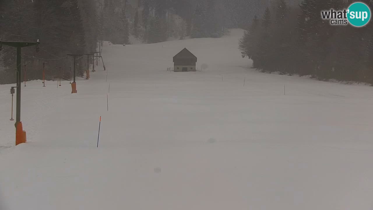 Ski Kranjska Gora | Velika Dolina