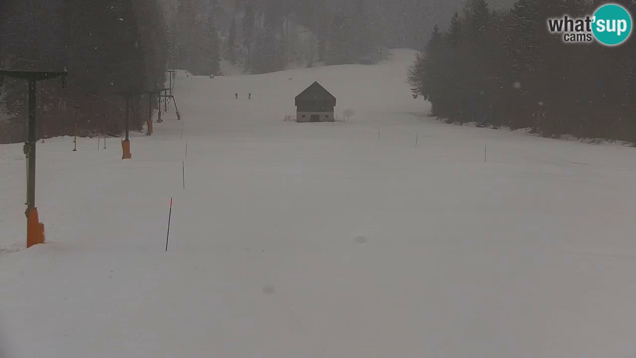 Ski Kranjska Gora | Velika Dolina