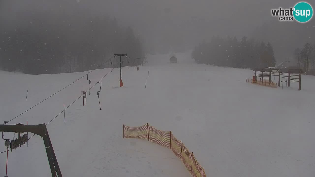 Skigebiet Kranjska Gora | Velika Dolina