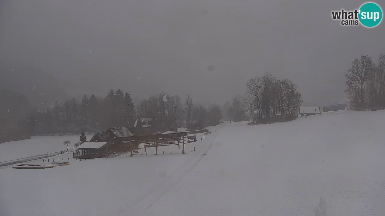 Skigebiet Kranjska Gora | Velika Dolina