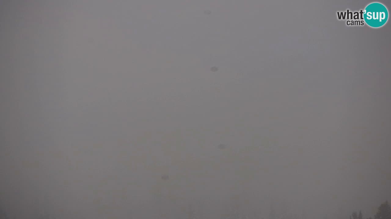 Skigebiet Kranjska Gora | Velika Dolina