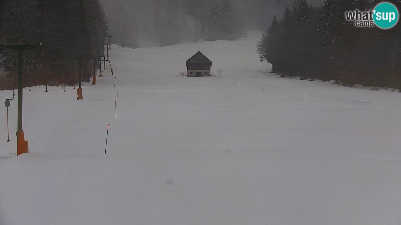 Ski Kranjska Gora | Velika Dolina