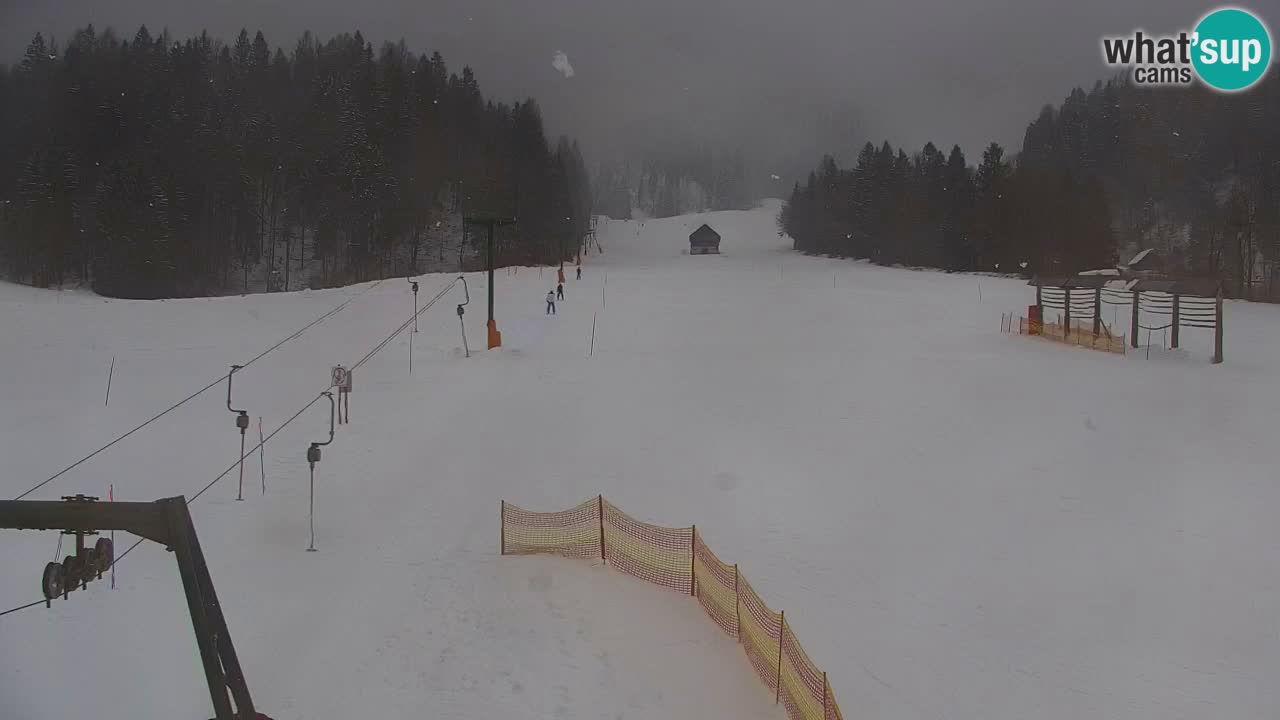 Ski Kranjska Gora | Velika Dolina