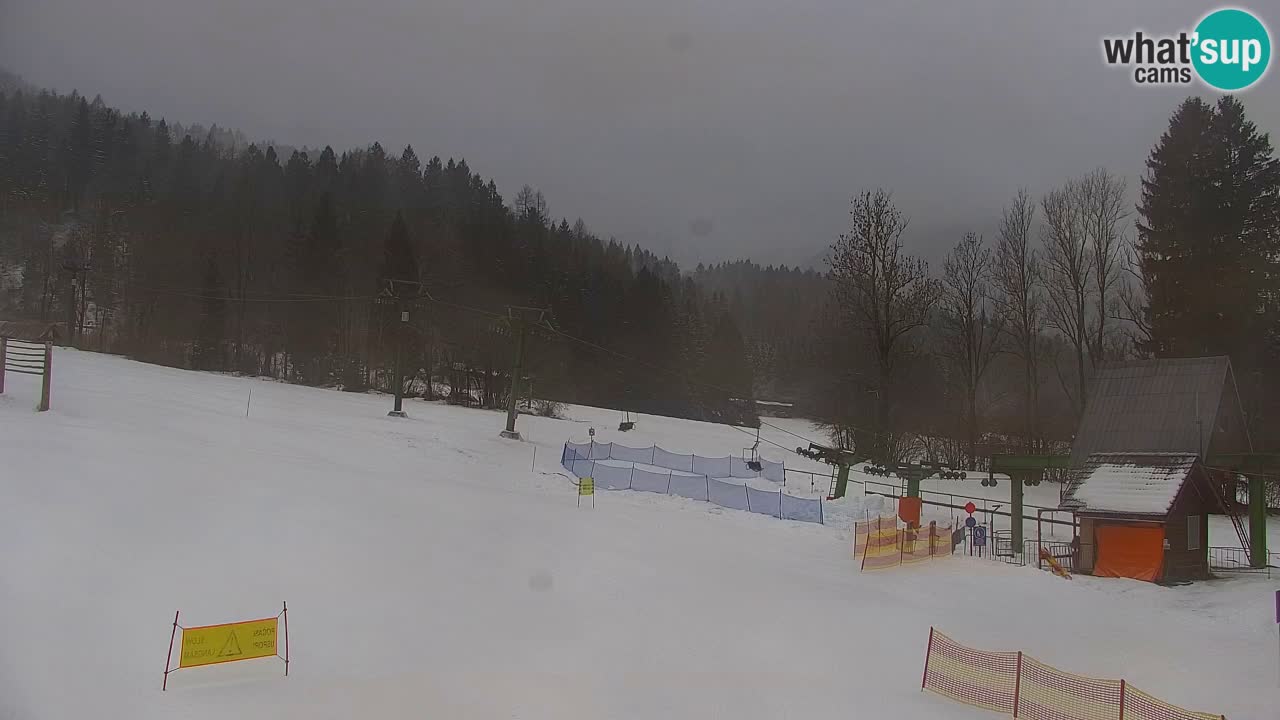 Ski Kranjska Gora | Velika Dolina