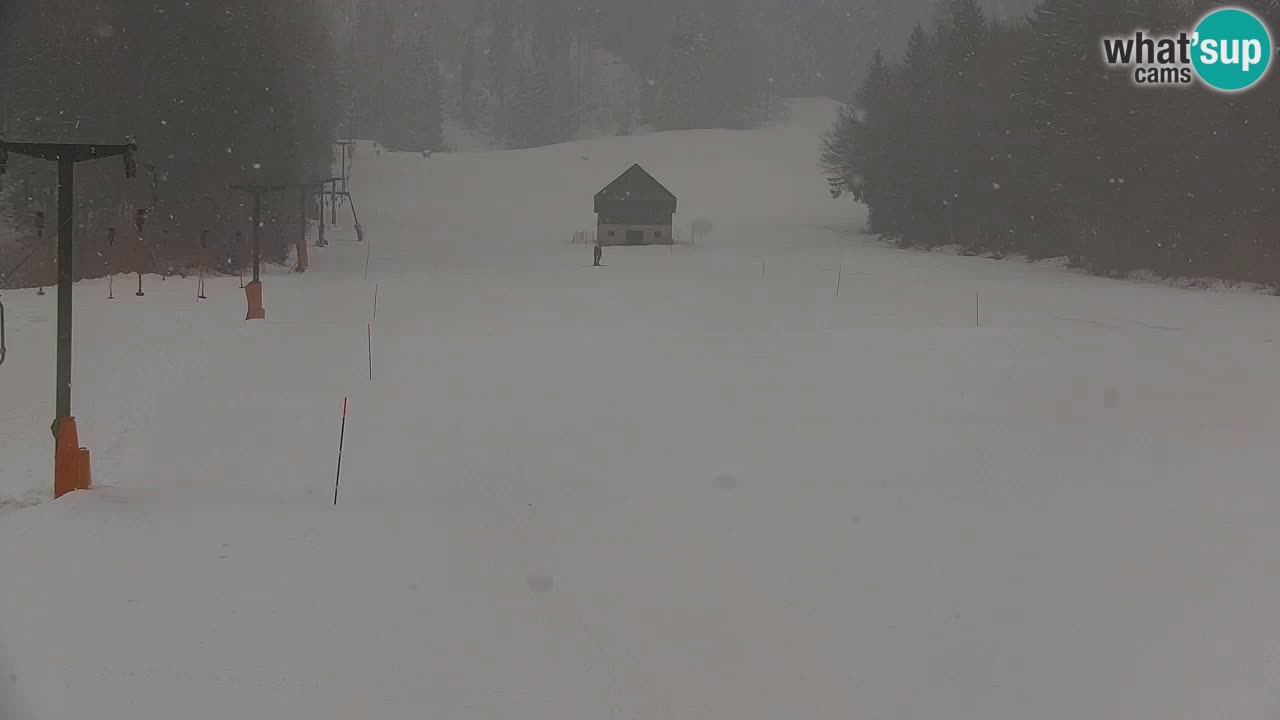 Ski Kranjska Gora | Velika Dolina