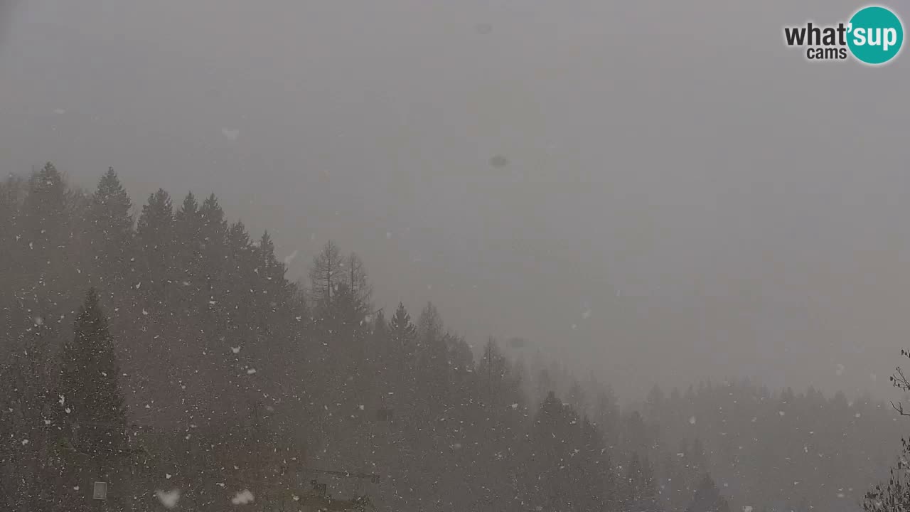 Skigebiet Kranjska Gora | Velika Dolina