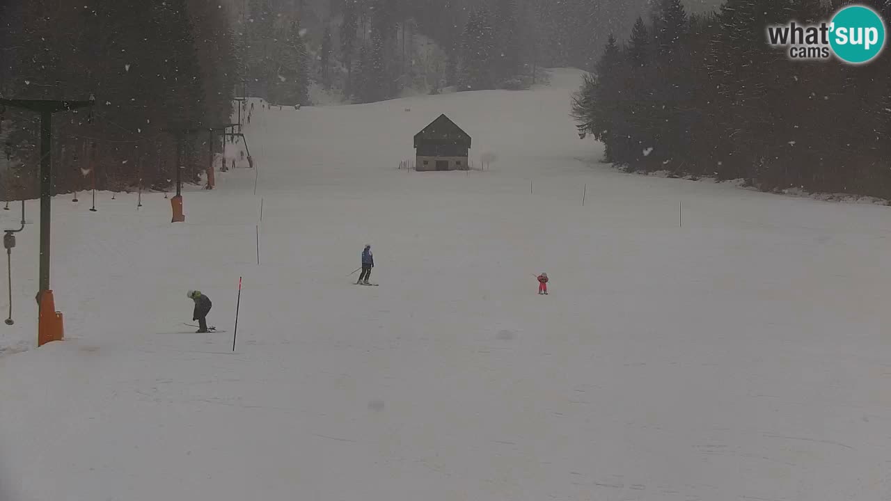 Skigebiet Kranjska Gora | Velika Dolina