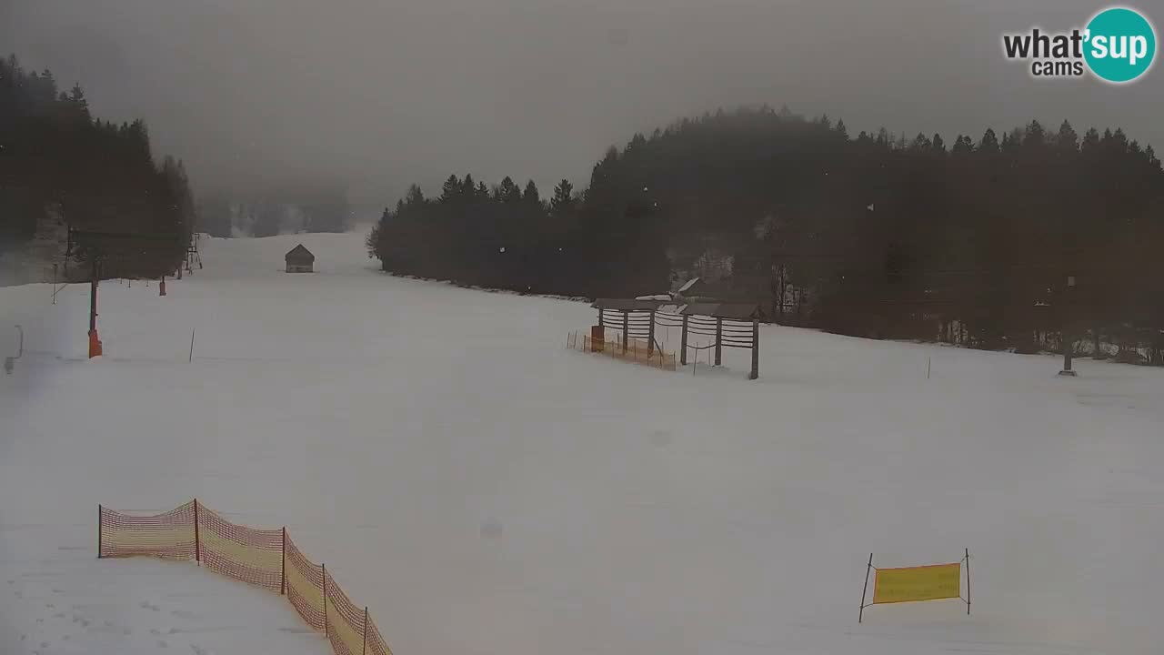 Station de ski Kranjska Gora | Velika Dolina