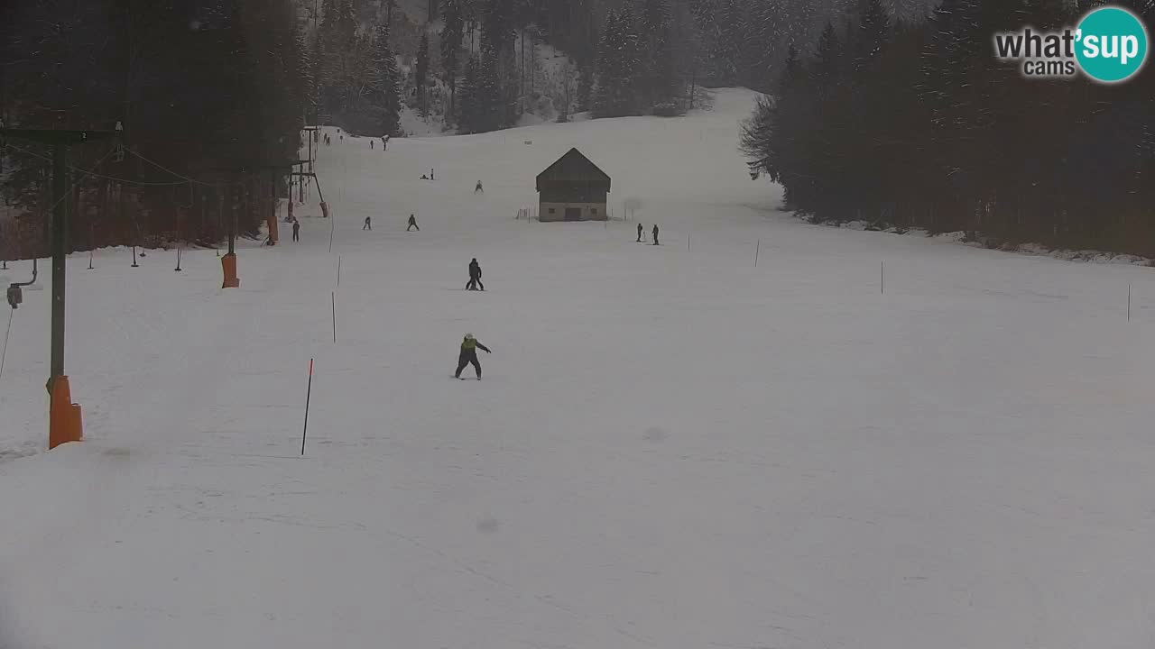 RTC Kranjska Gora | Velika Dolina