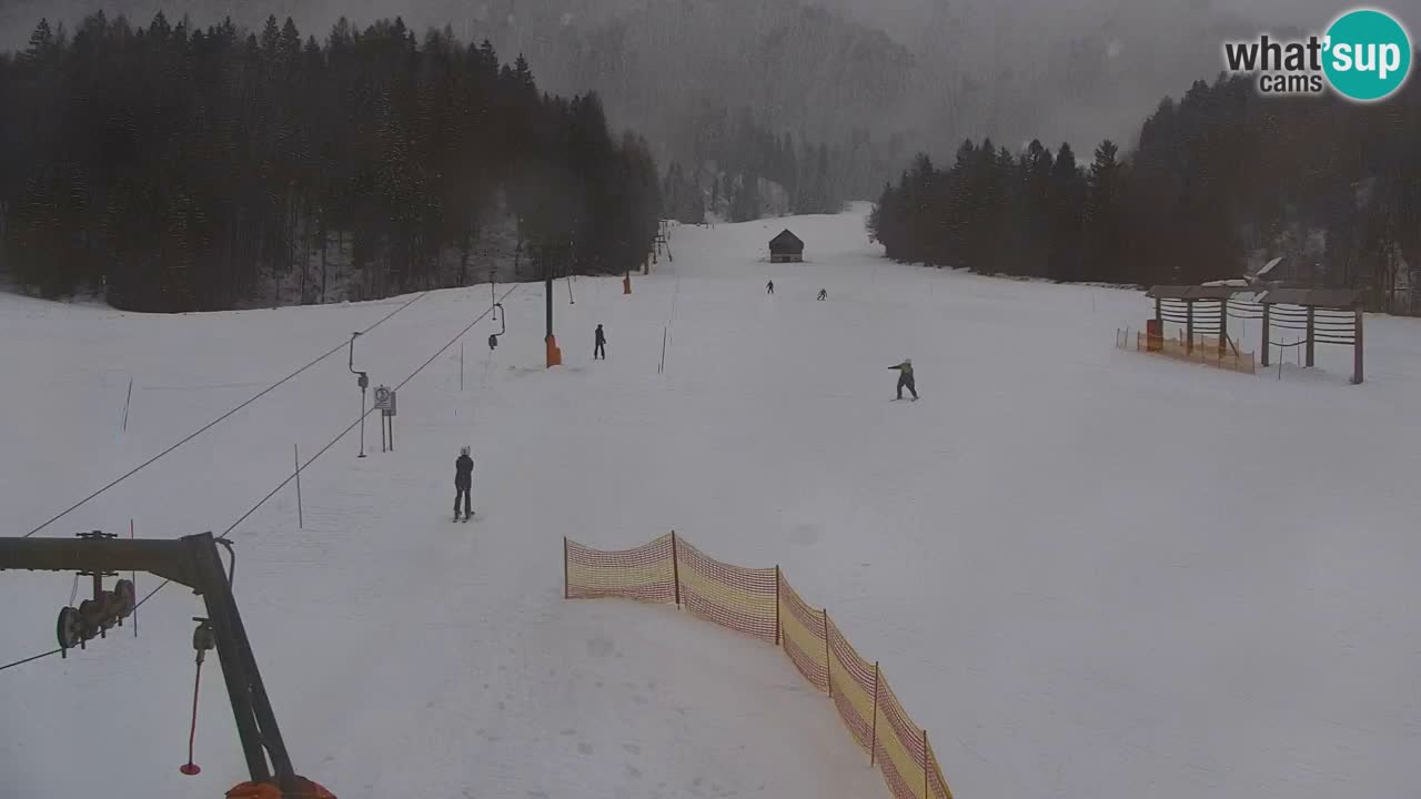 Station de ski Kranjska Gora | Velika Dolina