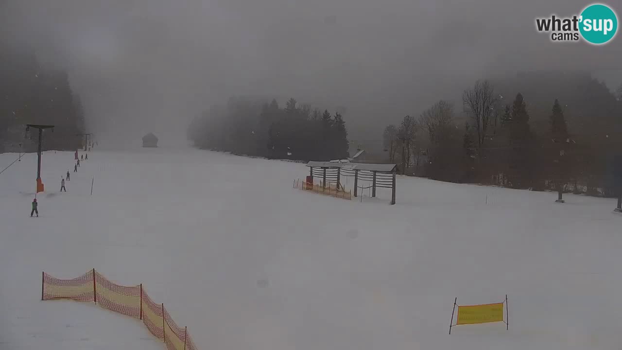 Ski Kranjska Gora | Velika Dolina